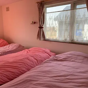 桜 美唄市